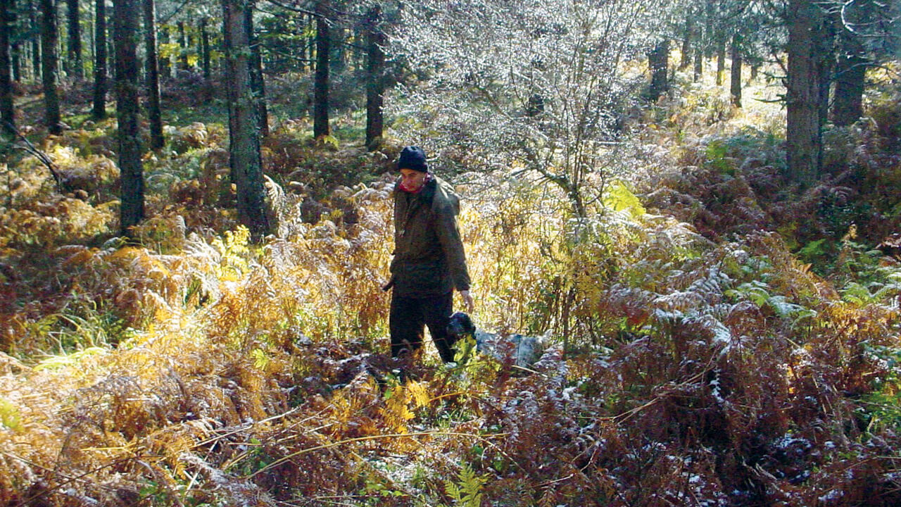 Cacciatore nel bosco con cane