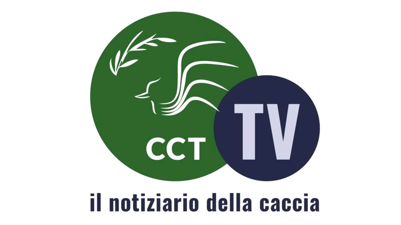 Logo Cct tv