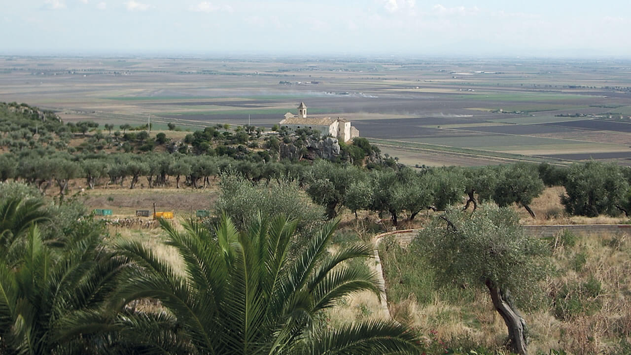 Panoramica di paesaggio pugliese