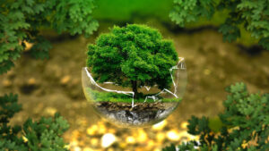 piccolo albero in una sfera di vetro simboleggiante la terra