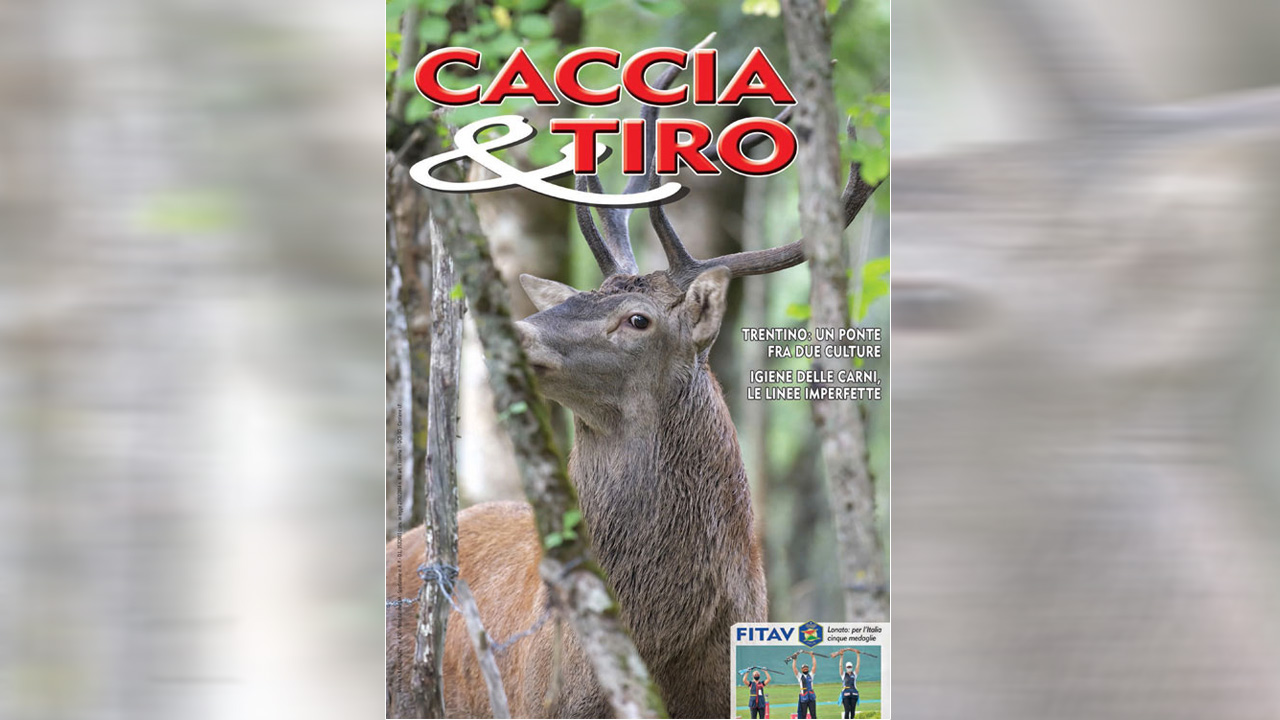 Copertina C&T n. 6