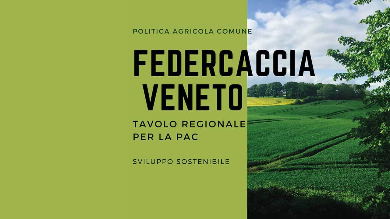 Fidc Veneto e tavolo regionale Pac