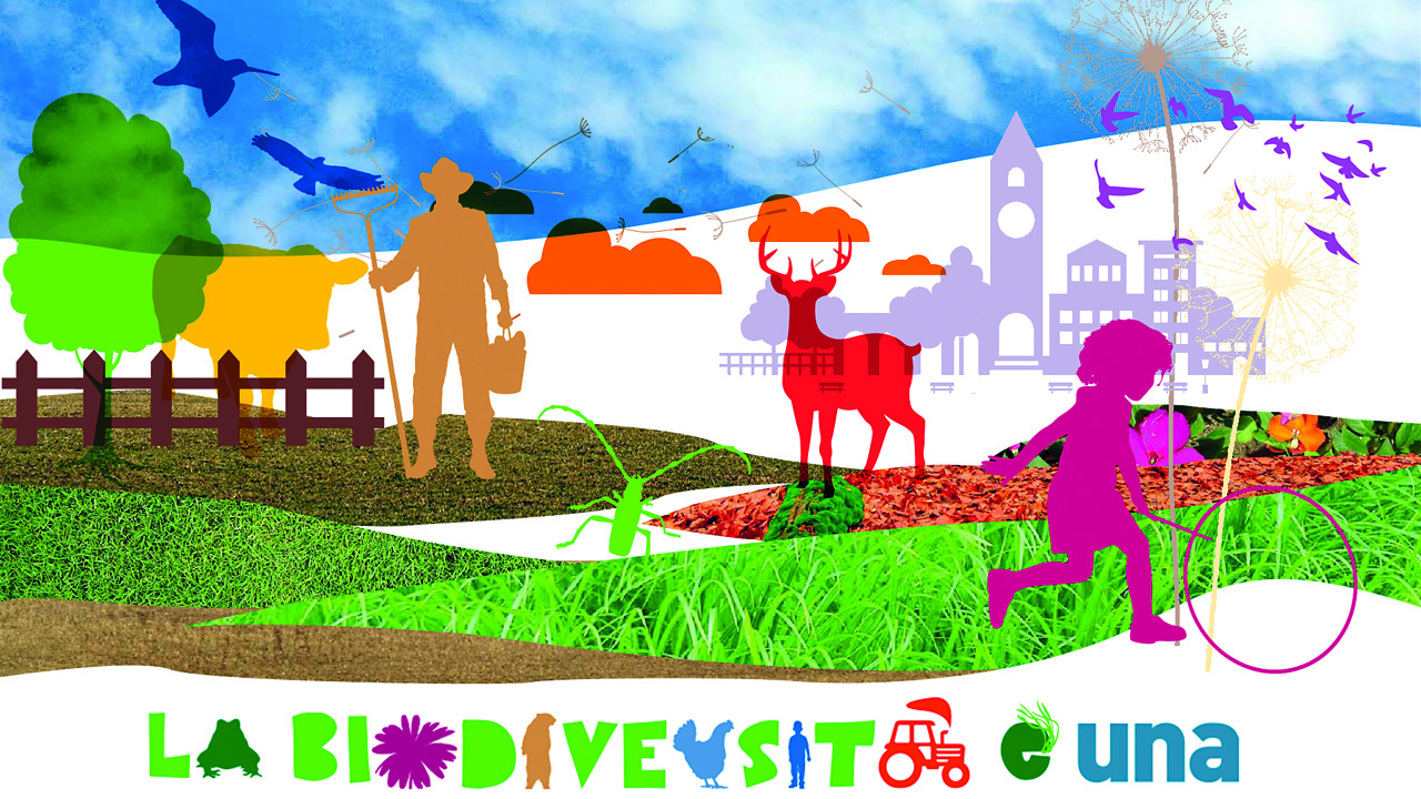 La biodiversità è una