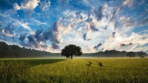 La natura