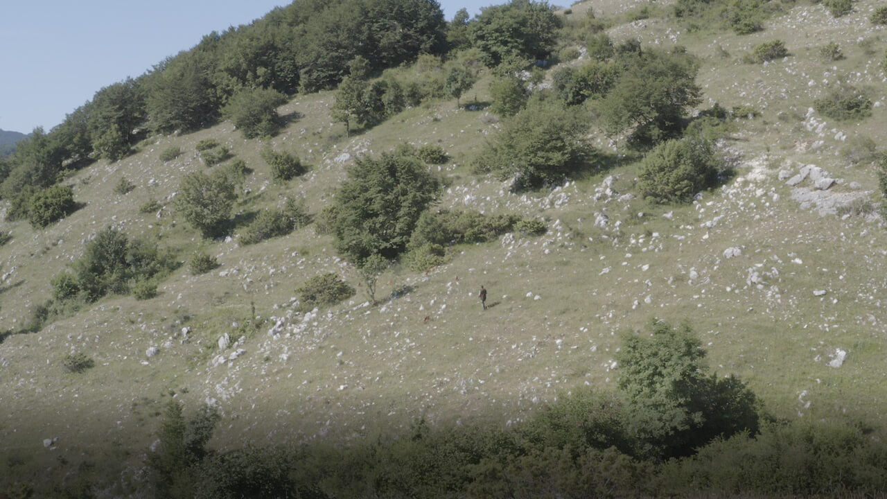 Campo gara cinofila