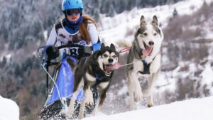 Attività sportive cinofile federali