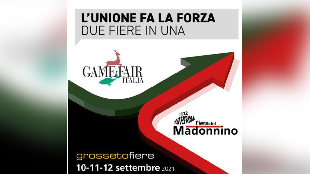Loghi fiere