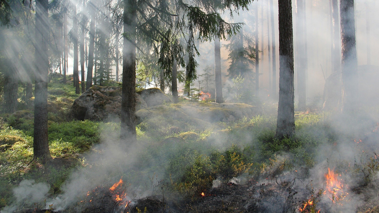 Incendio