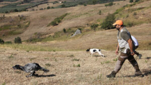 L’attività cinofila nella Regione Campania