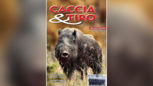 Rivista C&T