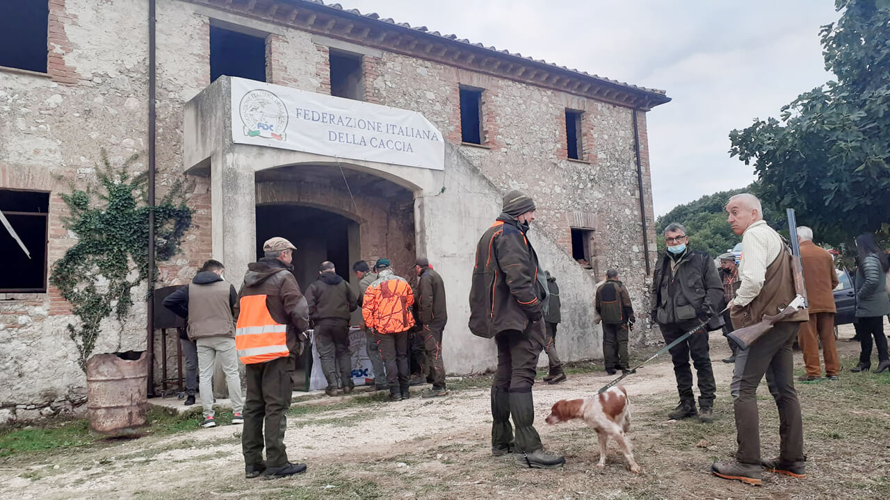 Manifestazione cinofila