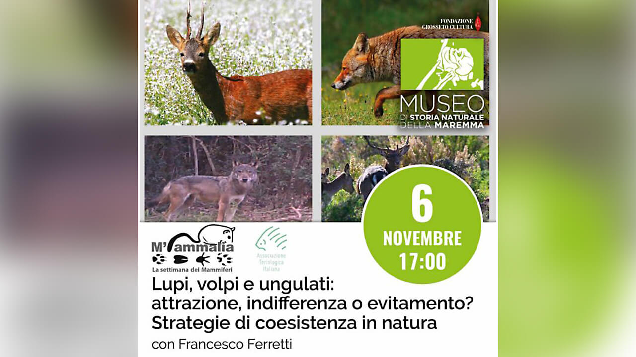 Museo di Storia naturale della Maremma