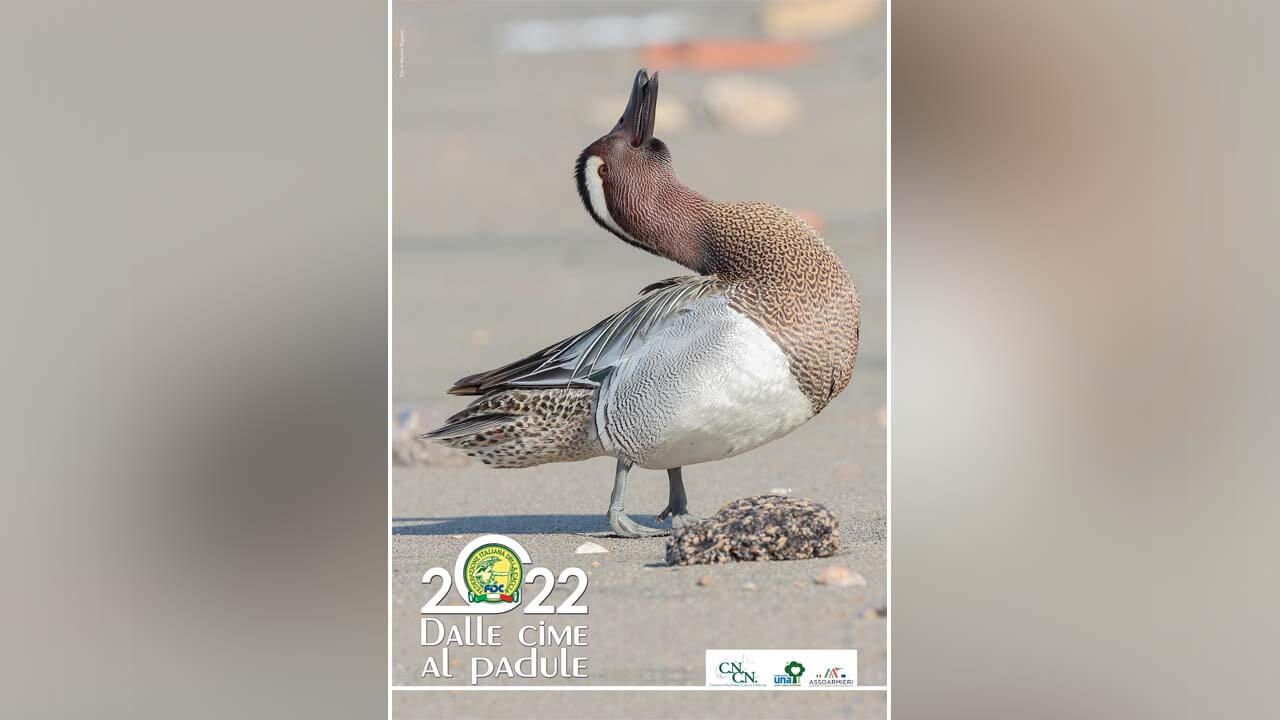 Calendario Fidc 2022