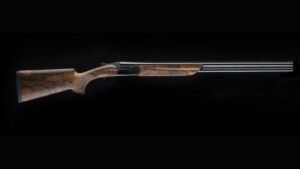 Fucile SL2