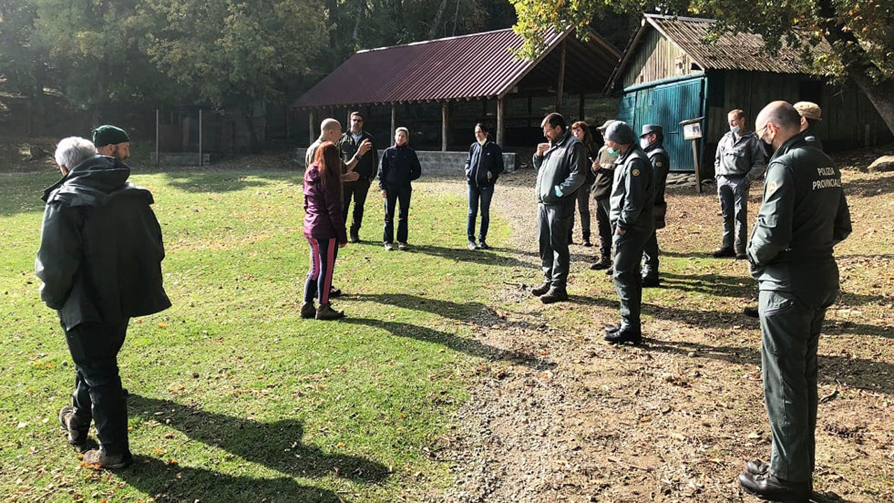 Cattura e recupero fauna selvatica