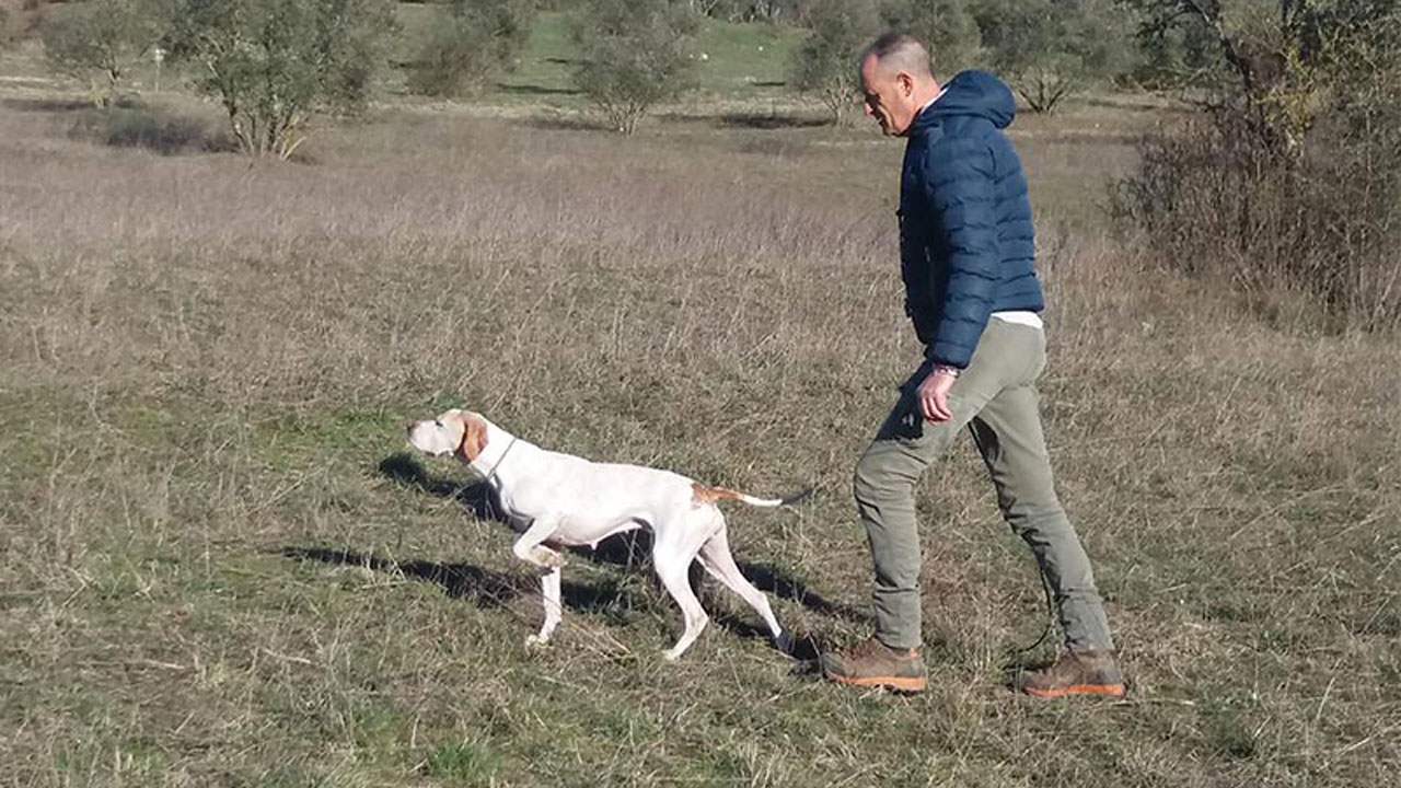 Area addestramento cani Castel Ruggero