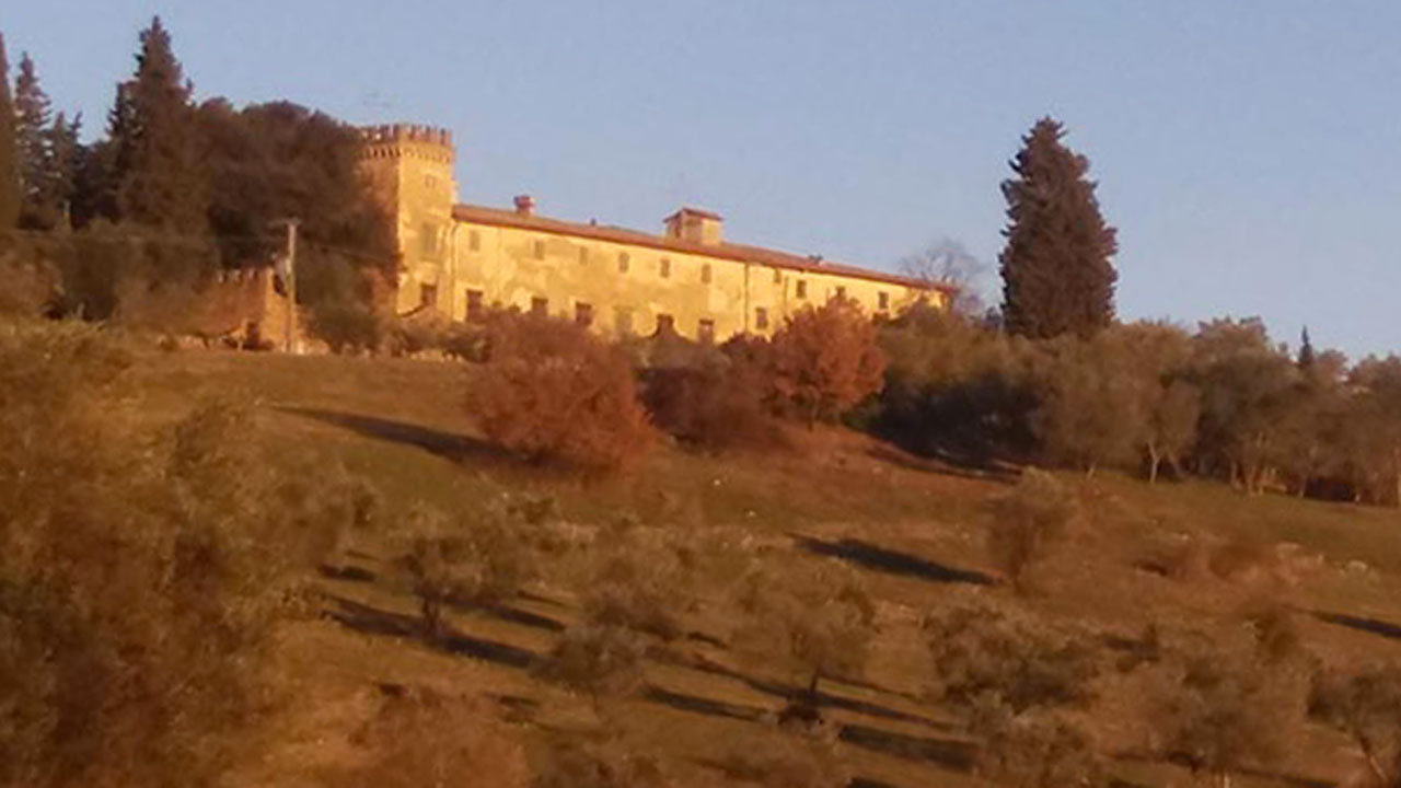 Area addestramento cani Castel Ruggero