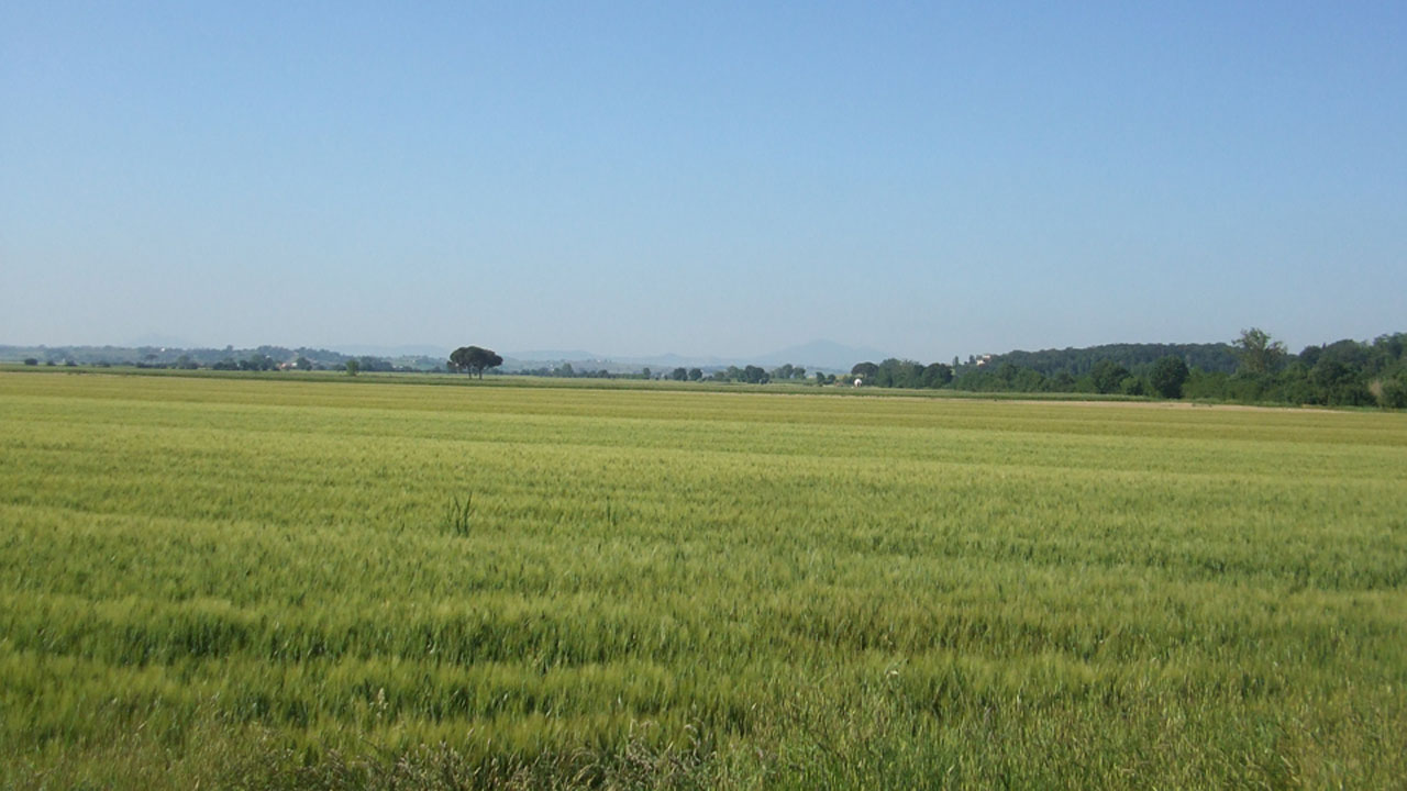Agricoltura