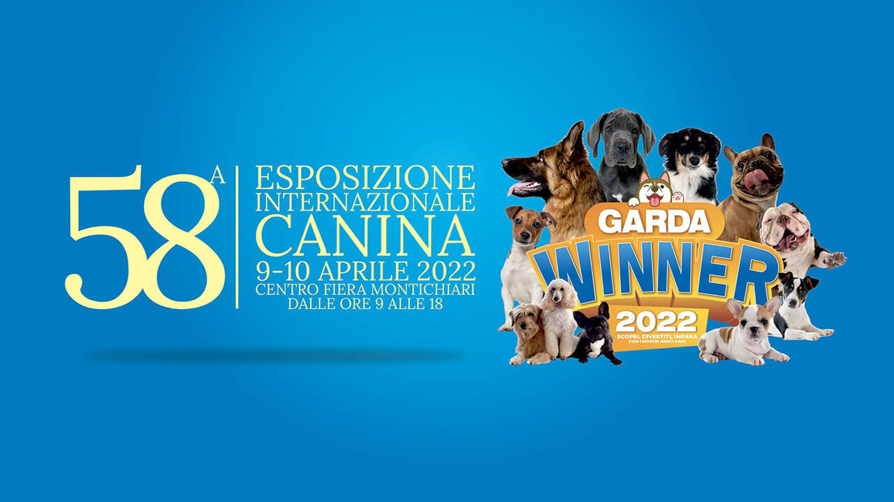 Esposizione canina