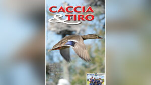 Caccia & Tiro