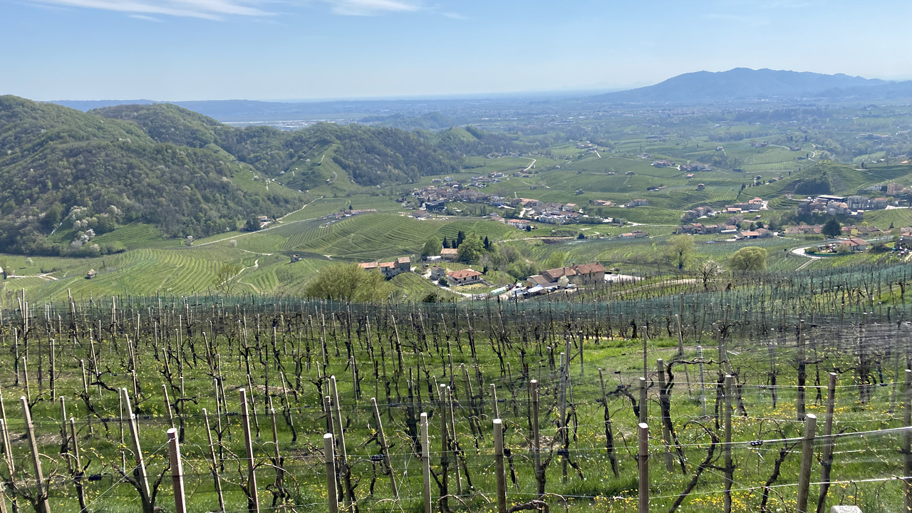 Panorama
