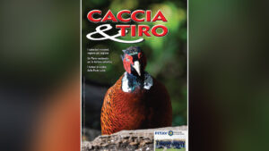 Caccia & Tiro