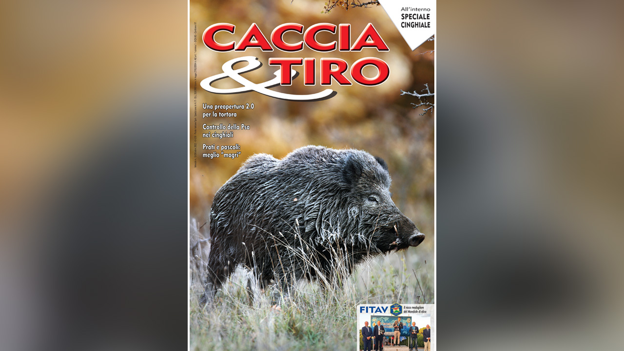 Caccia & Tiro