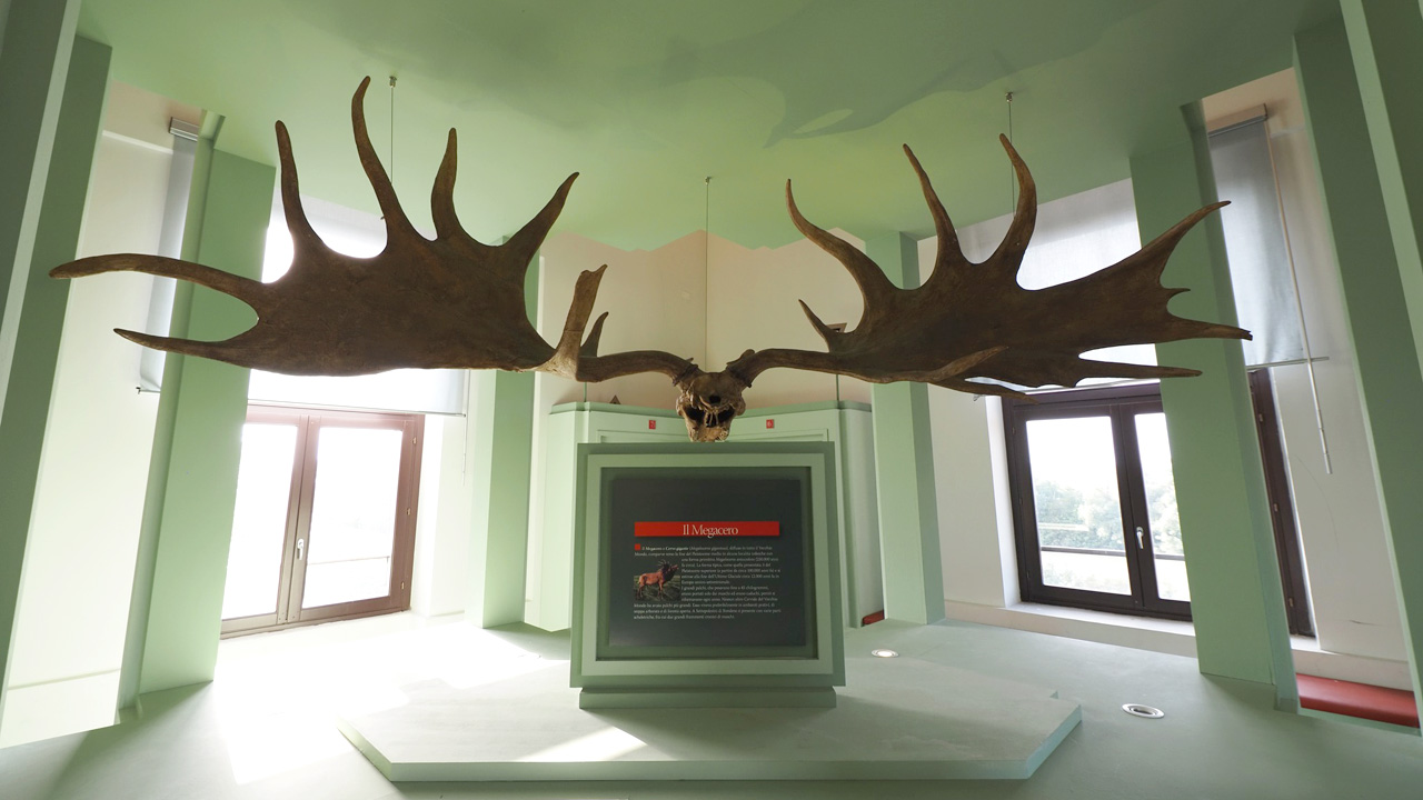 Museo del bosco e del cervo