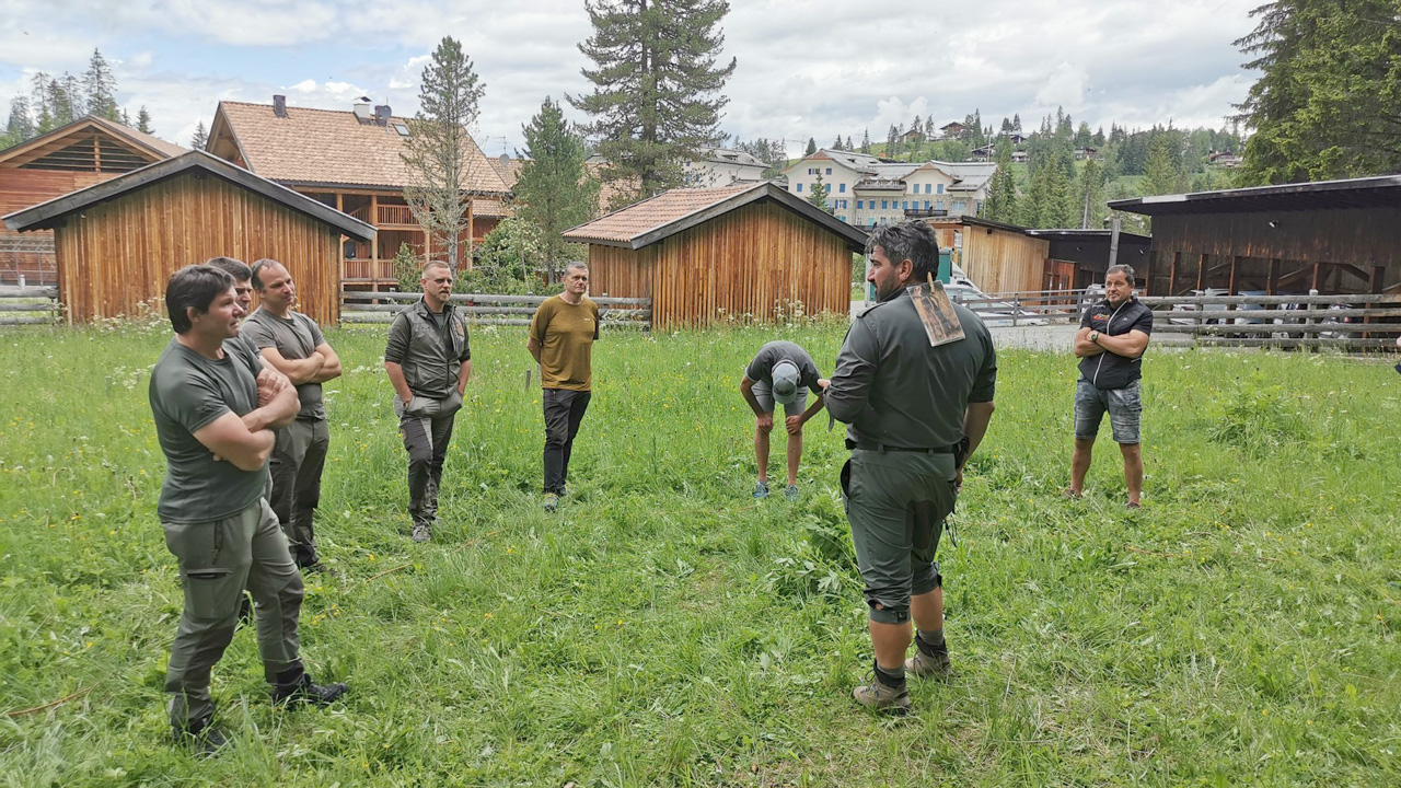 Scuola Forestale Latemar