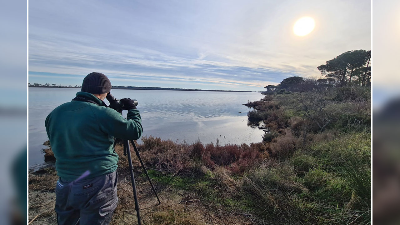 Censimenti acquatici 2023