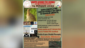 Gruppo Giovani FIDC Vicenza