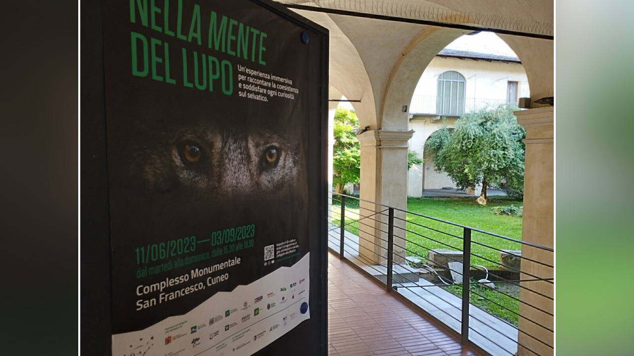 Progetto LIFE WolfAlps EU