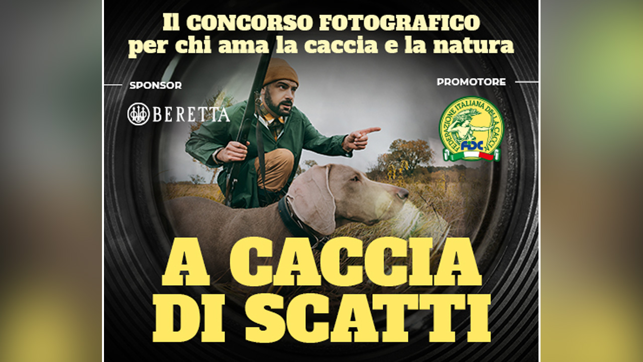CONCORSO FOTOGRAFICO FEDERCACCIA
