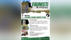 Associazione Faunisti Veneti