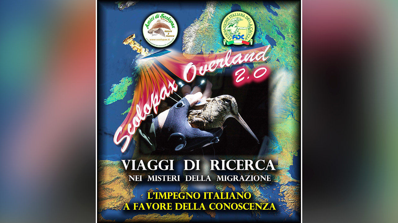PROGETTO SCOLOPAX OVERLAND