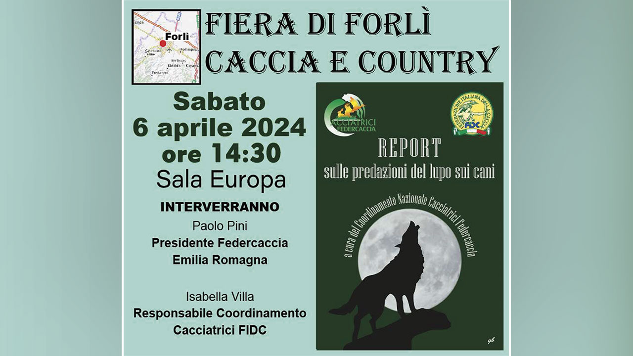 Report sulle predazioni del lupo sui cani
