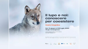 Mostra fotografica e didattica sul lupo