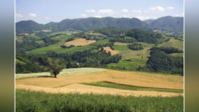 Campagna informativa FIDC Caserta