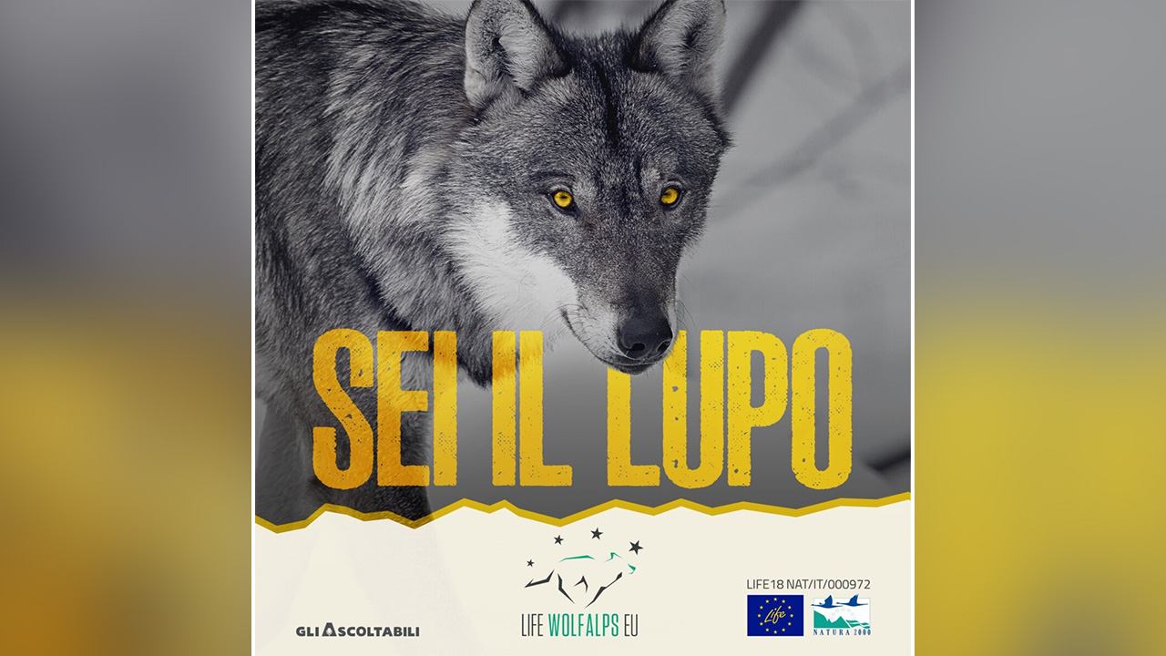 Life WolfAlps Eu