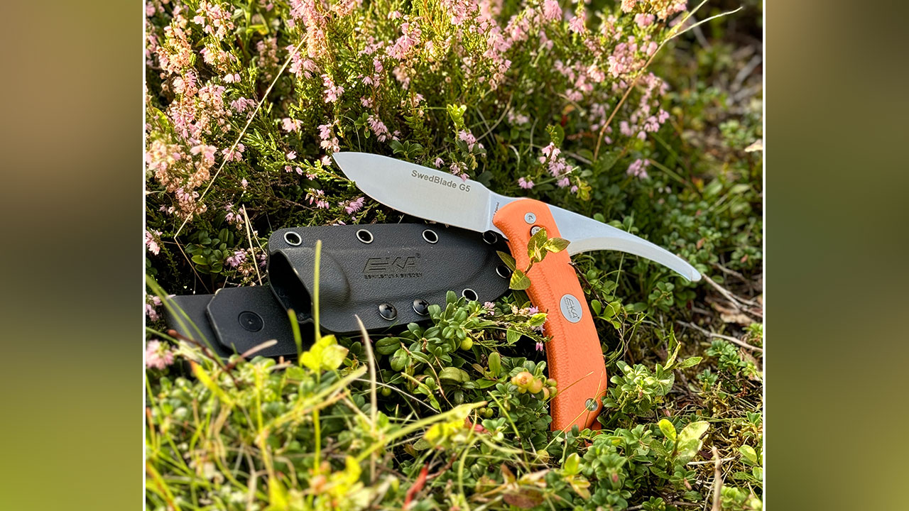 Coltelli distribuiti da Forest Italia