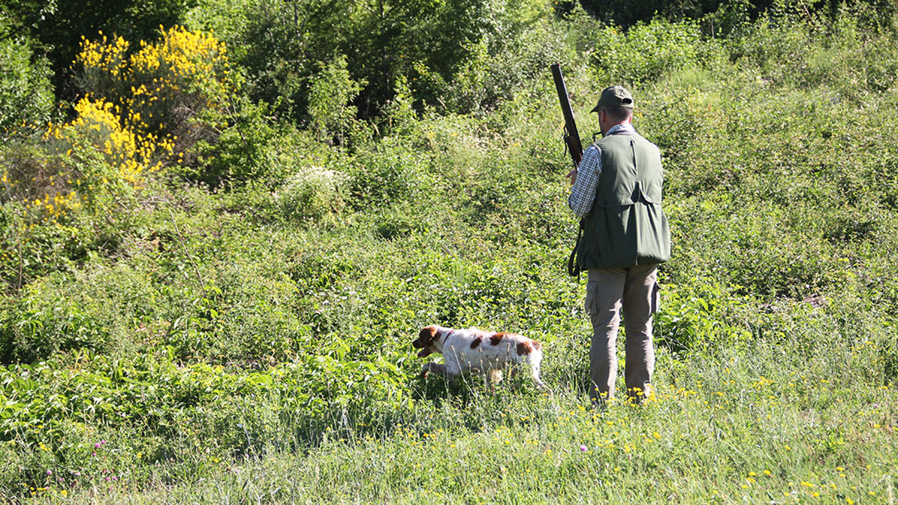 Cacciatore breton Sant'Uberto