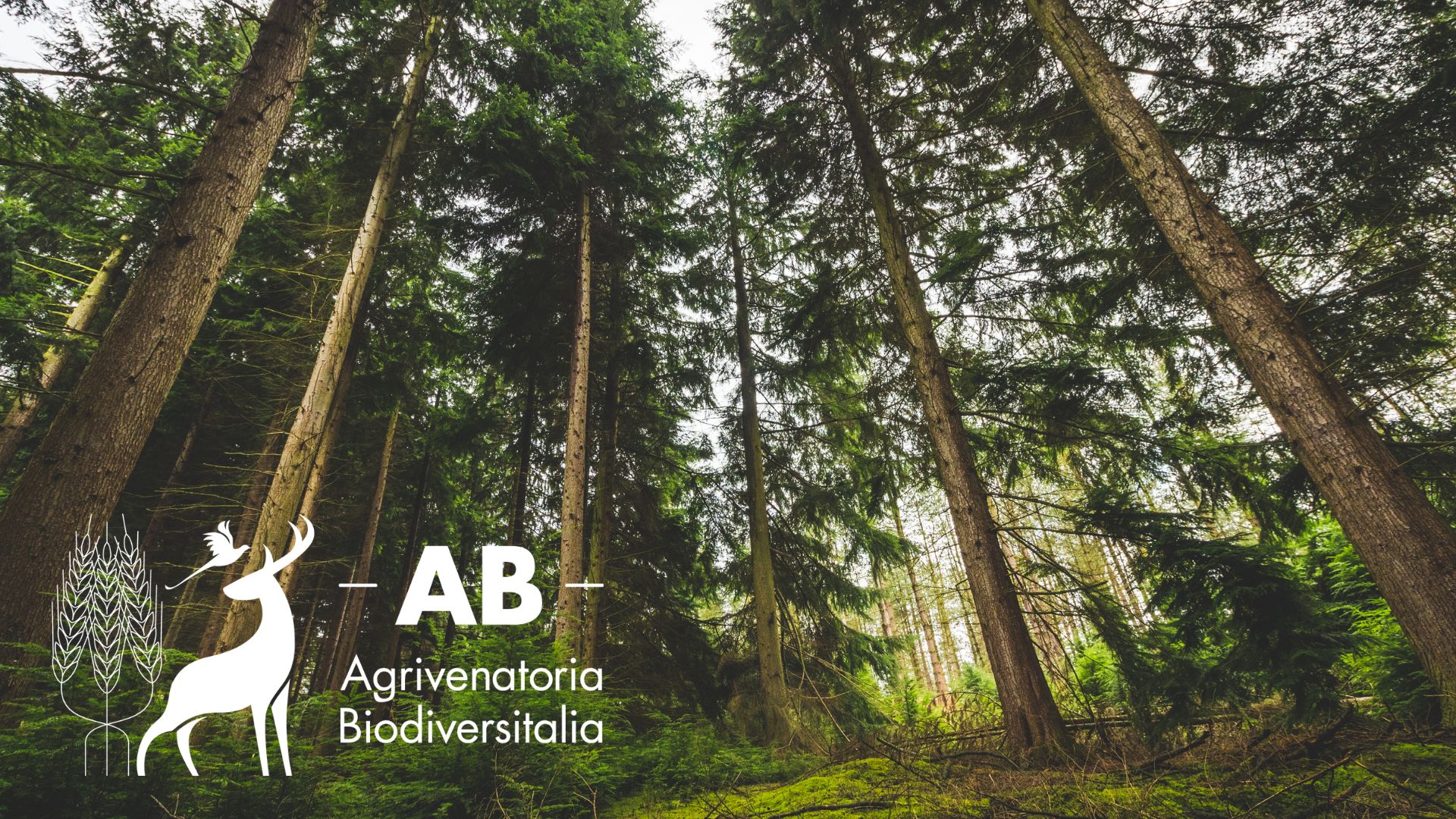 Agrivenatoria Biodiversità