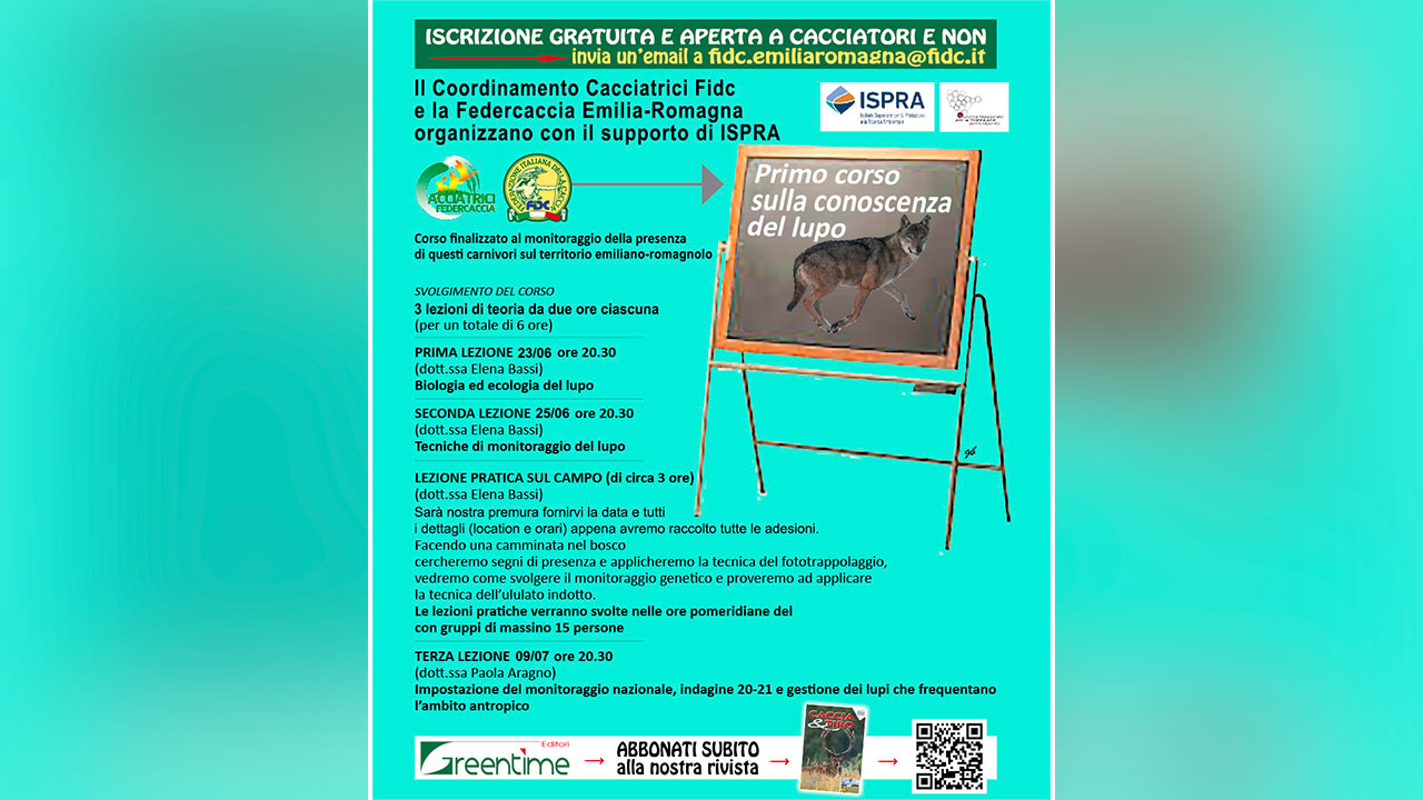 Locandina lupo