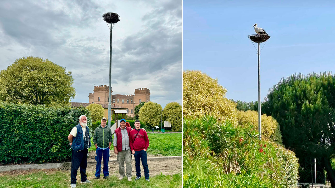Iniziativa cicogna Fidc Ferrara