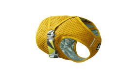 Gilet refrigerante per cani