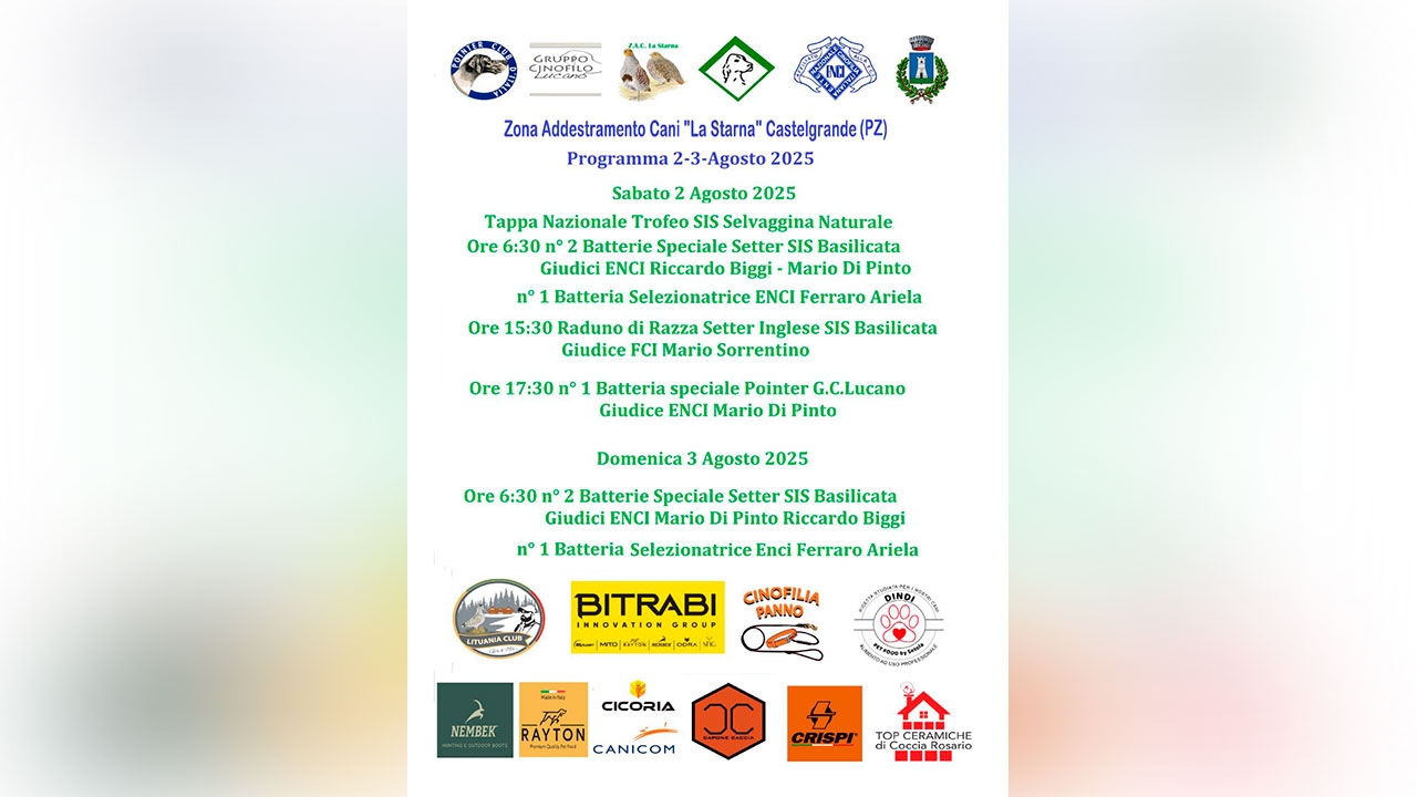 Raduno setter SIS Basilicata