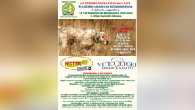 locandina gara cinofila