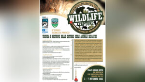 Corso SIEF settembre