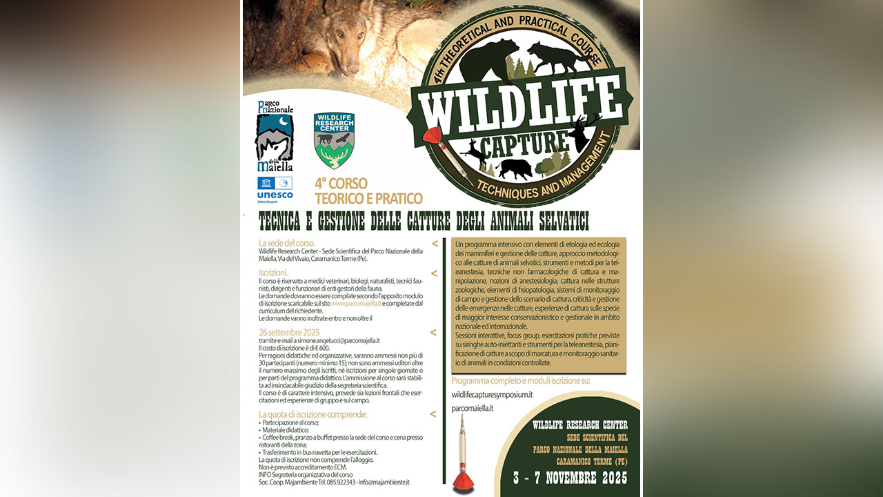 Corso SIEF settembre