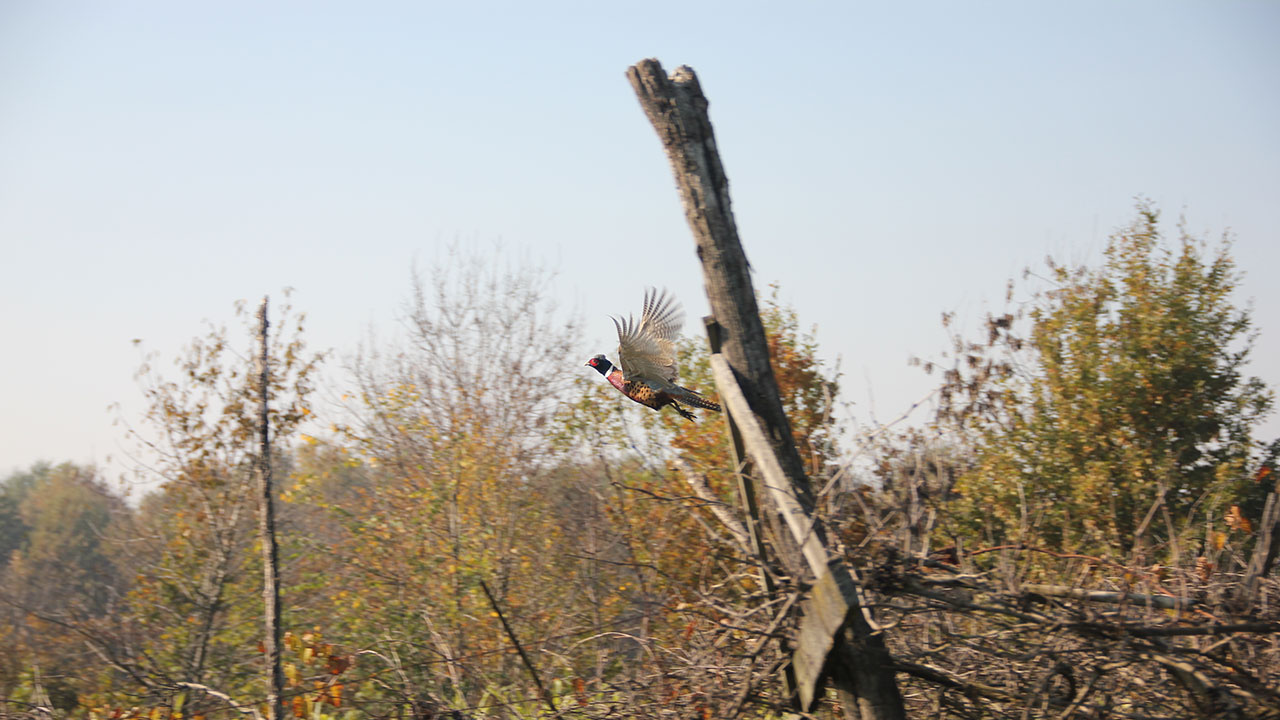 Sant'Uberto 2025 presentazione